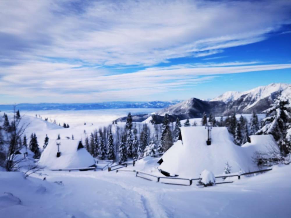 Chalet Zlatica Velika Planina Stahovica Exterior photo