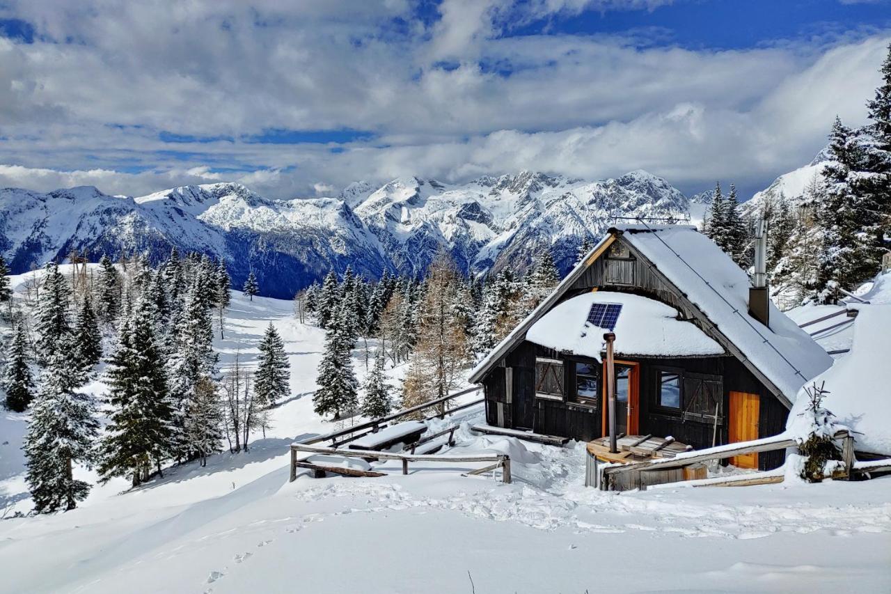 Chalet Zlatica Velika Planina Stahovica Exterior photo