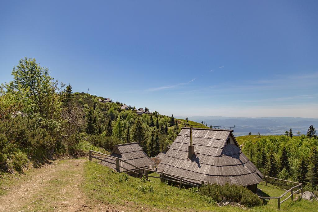 Chalet Zlatica Velika Planina Stahovica Exterior photo